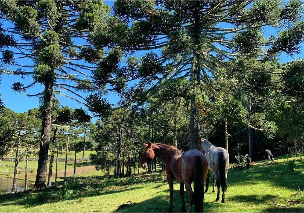 Fazenda Santa Rita Turismo Rural Bom Jardim da Serra Bauernhof