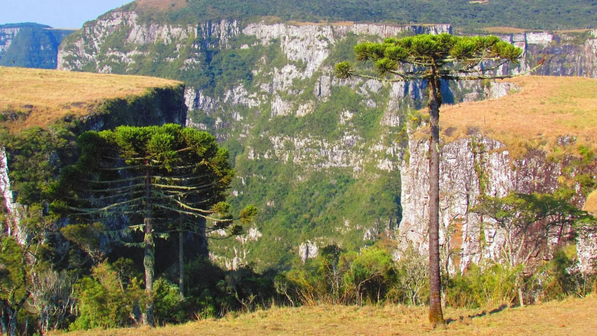 Bauernhof Fazenda Santa Rita Turismo Rural Bom Jardim da Serra